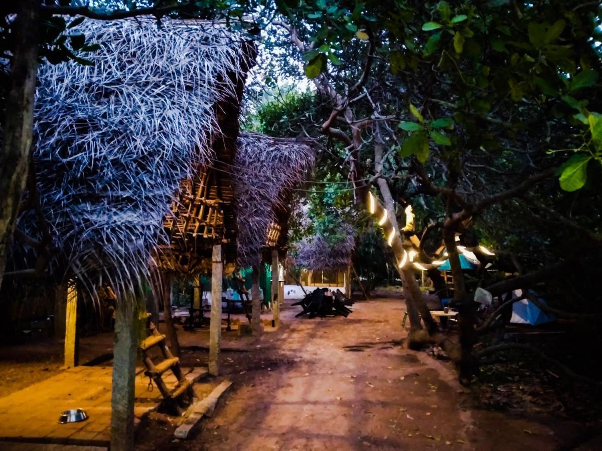 Peace Garden Hostel ออโรวิลล์ ภายนอก รูปภาพ