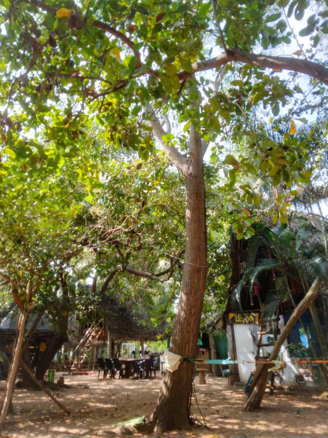 Peace Garden Hostel ออโรวิลล์ ภายนอก รูปภาพ